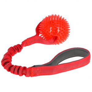 Kerbl Jouet pour chien BungeeToy
