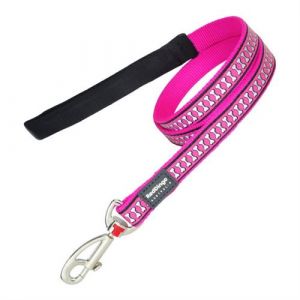 Laisse pour Chien Réfléchissant Fuchsia 1 5 120 cm