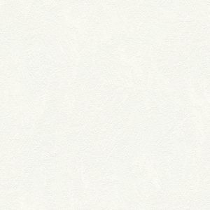 A.S. Creation Papier peint 334442 Meisterputz 15 m | Papier peint Blanc en ligne