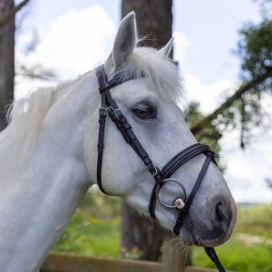 Bridons équitation pour cheval Canter Mylord