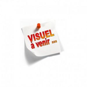 Image de Millénium, le film [Blu-Ray]