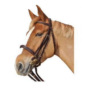 Bridons équitation Canter Euro