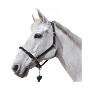 Licol &agrave; corde pour cheval Canter