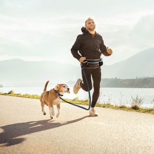 Ceinture ventrale avec laisse pour chien Duvoplus