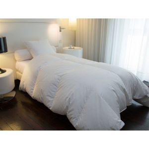 Image de Castex Couette hiver canard 90% duvet (200 x 200 cm)