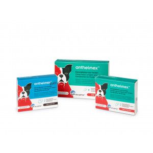 Ecuphar Anthelmex Comprim&eacute;s &agrave; croquer pour chien 8 Comprim&eacute;s