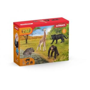 Schleich Kit de base Wild Life - 72162 - Gamme Wild Life
