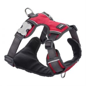 RedDingo Harnais pour Chien Rembourré Taille XS Rouge