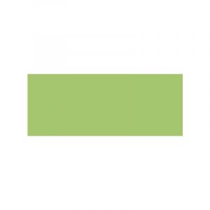 Faber-Castell Crayon de couleur aquarellable Goldfaber, Vert permanent pastel