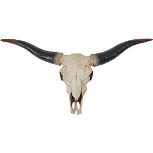 Décoshop26 Tête de taureau décoration murale 75cm trophée longhorn en polyrésine intérieur/extérieur naturel 040002852