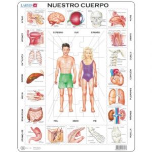 Image de Larsen Puzzle Cadre - Nuestro Cuerpo (en Espagnol)