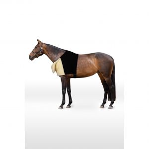 Horze Protège-épaule pour cheval Confort