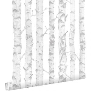 Papier peint troncs de bouleau argent et blanc - ESTAhome