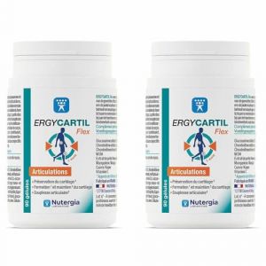 Laboratoire Nutergia Ergycartil Flex 2x90caps