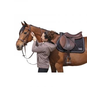 Eric Thomas Selle équitation d'obstacles DTA Antares
