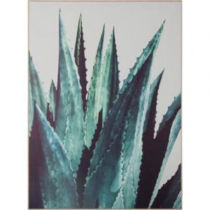 Image de Toile Imprimée Cadre "Aloe Vera" 80cm Bleu Prix