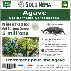 Solunéma - Nématodes - Agave - 5 millions nématodes SC