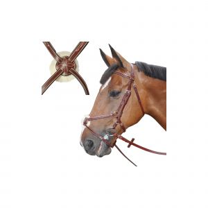 Lexington Bridons équitation denver croisé