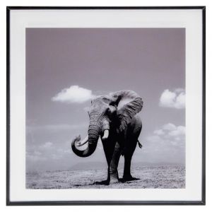 Image de Cadre en Verre "Elephant" 50x50cm Noir Prix