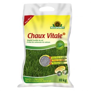 Neudorff Chaux vitale Azet 10 kg