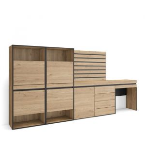 Meuble à Chaussures, 297x35x145 cm, Chambre à coucher, pièce, Commode, Buffet, Panneaux Muraux en Bois, Coiffeuse, Chêne, RF3545