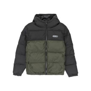 Element Classic Hooded Puffer Kids Veste vert