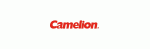 Camelion