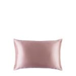 Slip Pure Silk Queen Pillowcase Oreiller