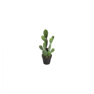 Cactus artificiel - Nomade - H 42 cm  - Modèle aléatoire