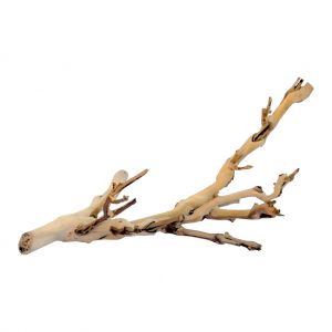 Kit de d&eacute;coration pied de vigne sabl&eacute; Exo Terra