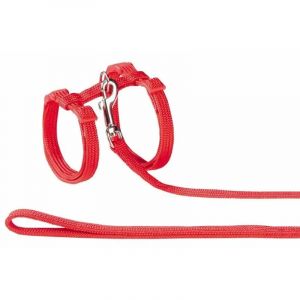 Laisses et harnais pour chat nylon Nobby Pet
