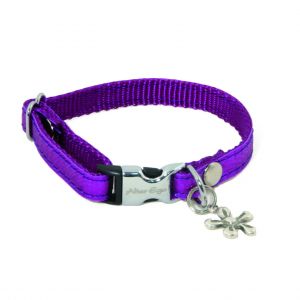 Collier pour chien Alter Ego XS