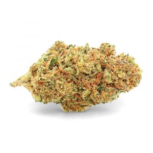 Critical Jack - Fleur de CBD - Ivory
