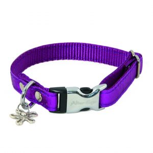 Collier pour chien Alter Ego S