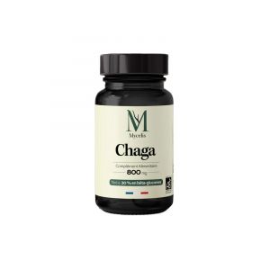 Phytalessence Chaga 800 mg Bio 60 Unit&eacute;s
