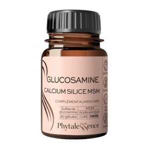 Phytalessence Glucosamine Calcium Silice Msm