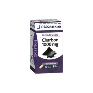 Juvamine Charbon 1000 mg Ballonnements 40 Gélules