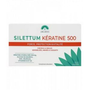 Silettum K&eacute;ratine 500 Comprim&eacute;s x 40