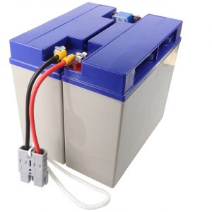 Batterie adaptée pour APC-RBC7, SU1000XLJ, SU1400, DLA1500I avec câble et fiche