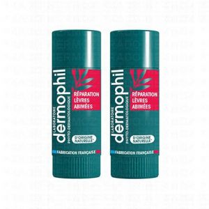 DERMOPHIL Stick réparation lèvres abîmées naturel lot de 2 sticks 4g