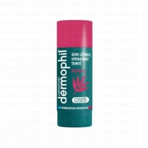 DERMOPHIL Baume Lèvres Hydratant Teinté Prunelle 4g