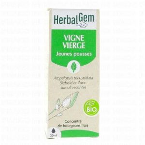 HERBALGEM Concentré de bourgeons frais - Vigne Vierge jeunes pousses bio 30ml