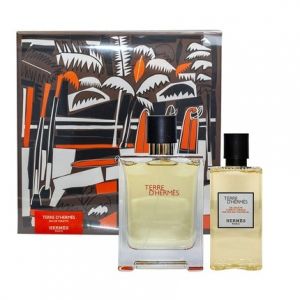Terre d'Hermès - Eau De Toilette Spray 100ml and Shower Gel 80ml