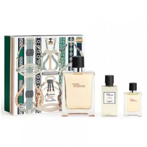 Hermès Set Terre D'Hermès - Eau De Toilette for Men - 100 ml, 125 ml, and Moisturizing After-Shave Lotion 40 ml