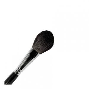 Parisax Blush Brush 20x40mm