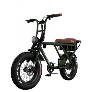 V&eacute;lo &eacute;lectrique biplace cargo garrett miller x vert, batt simple, tout terrain