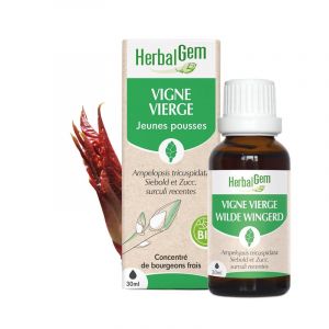 Herbalgem - bourgeon de vigne vierge - bio