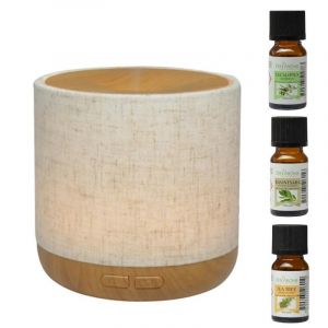 Diffuseur alesia + 3 huiles hivernales