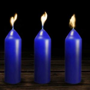 Bougies &agrave; la citronnelle pour lanterne u