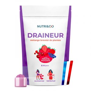 Draineur fruits rouges - 28 jours